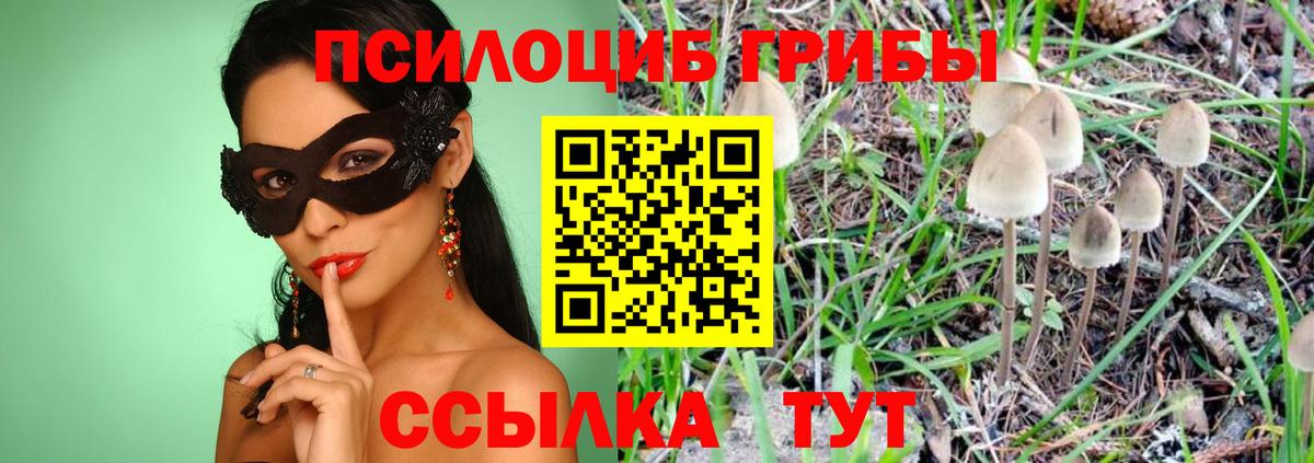 закладка  Псилоцибиновые грибы Magic Shrooms  Псилоцибиновые грибы Magic Shrooms  Вход с VPN  Белая Калитва 